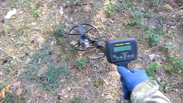 Две Пуговицы. Лесной коп.