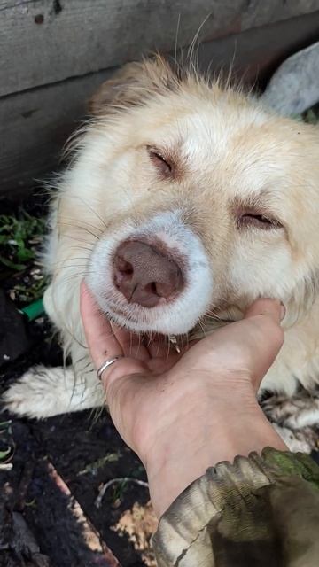 28 июля 2024 г. смотреть онлайн