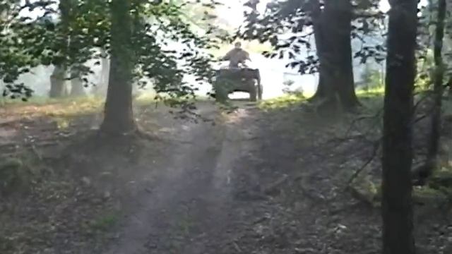 grizzly 700 смотреть онлайн