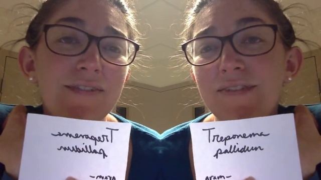 BIO 201 Vocab Video Chapter 21 смотреть онлайн