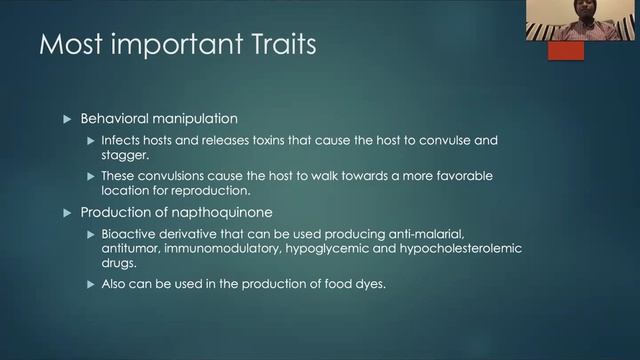 Ophiocordyceps Unilateralis - Jalan Dixon