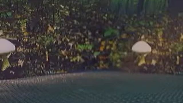 Cordyceps Fungus смотреть онлайн