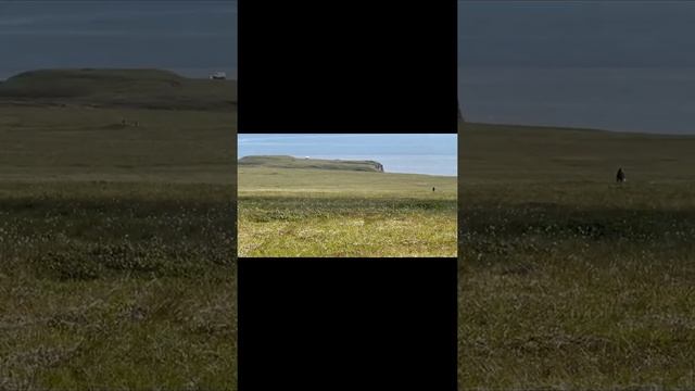 Отдых на природе: собираем грибы , ягоды 🫐 смотреть онлайн