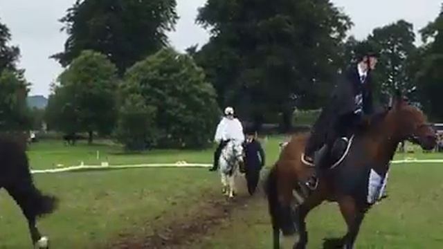 Crafty Ponies sponsor the Pony Club Musical Ride 2017 смотреть онлайн