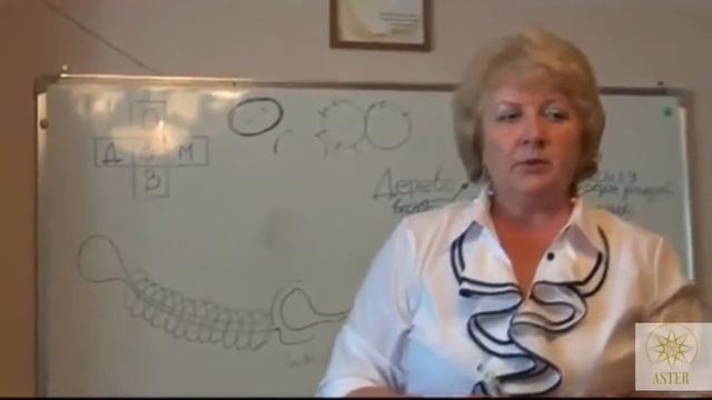 "Светлая мечта" - капсулы интеллекта. смотреть онлайн