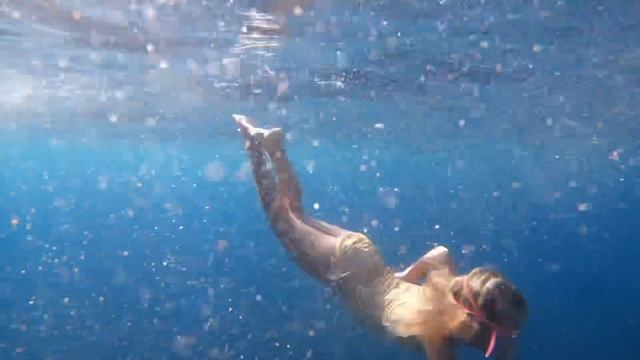 Swimming with dolphins on the big island of Hawaii - freediving from a paddle board смотреть онлайн