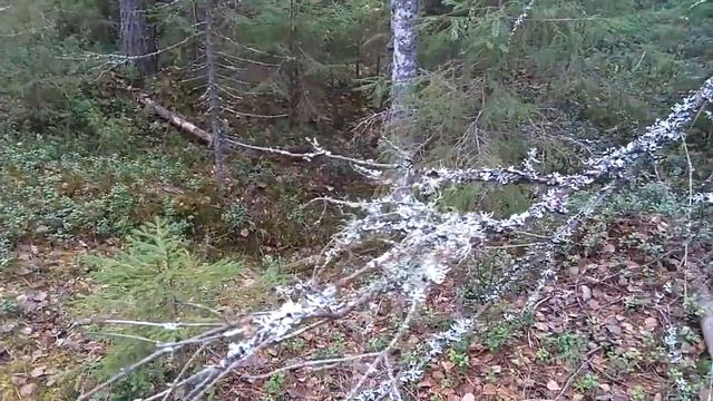 Мы познаем мир.