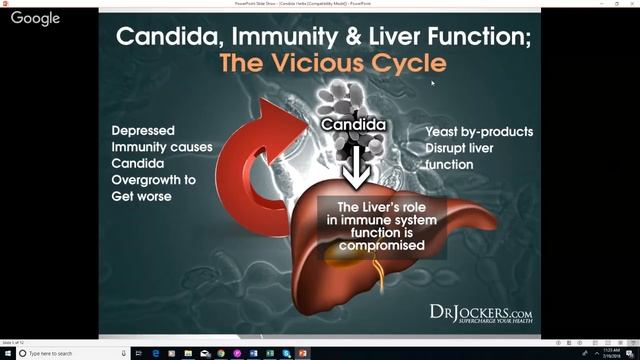 Best Herbs and Supplements to Kill Candida Overgrowth смотреть онлайн