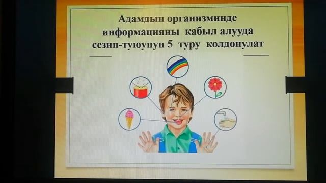 Информатика смотреть онлайн
