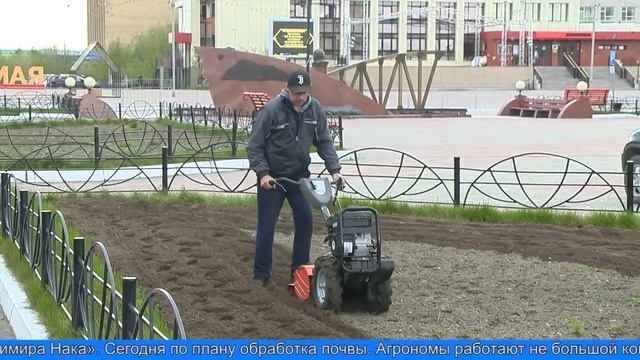 Цветы украсят Лабытнанги смотреть онлайн