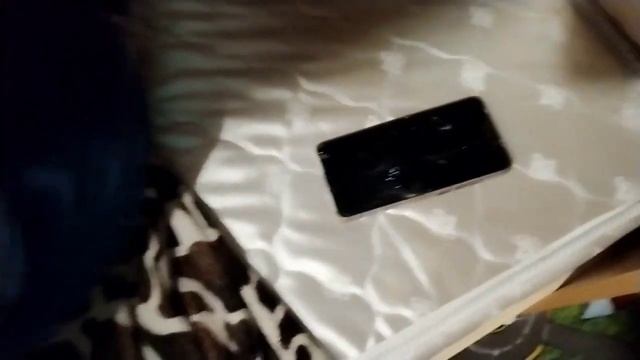 сереноголовый 2 сезон 9 серия часть 1 ( тайна пришельцев👽) смотреть онлайн