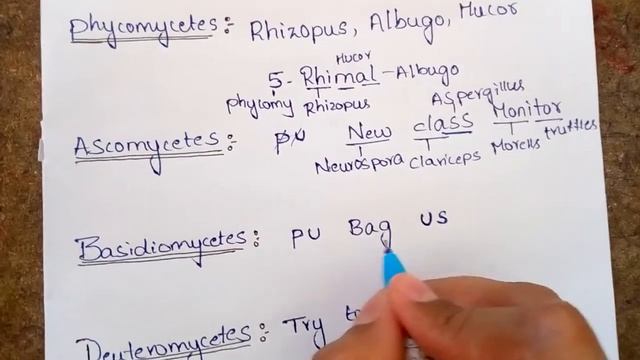 Biological Classification Class 11 Tricks