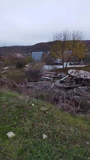 #хаски #новороссийск навели шороха в деревне смотреть онлайн