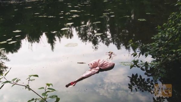 Forum TV @ « ВЕСЕЛКА»