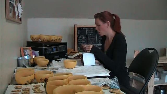 The "Cuckoo" Relative of the Bumblebee смотреть онлайн