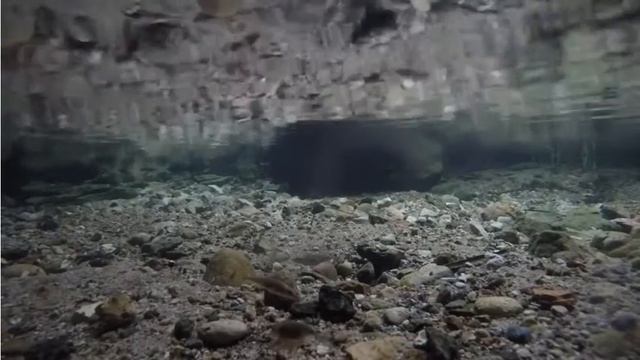 4hm57 KALA sticklebacks смотреть онлайн