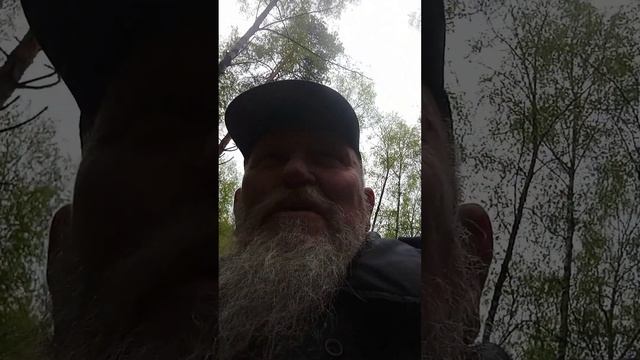 Опята пошли, как не странно! (1)