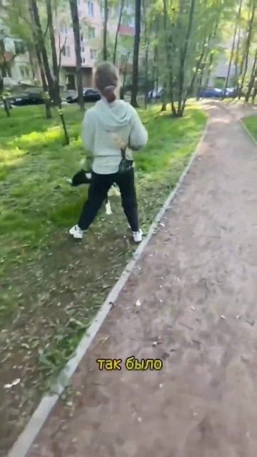 Настя с Планеты собак #dogplanetspb #собака #выгул #прогулки #зооняня #пёс смотреть онлайн