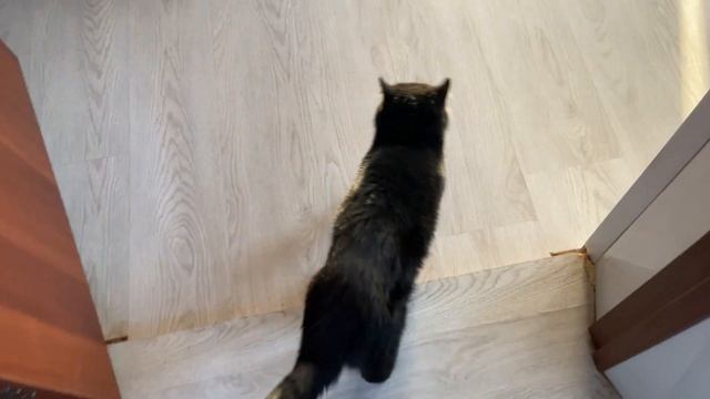 Лучшее место смотреть онлайн