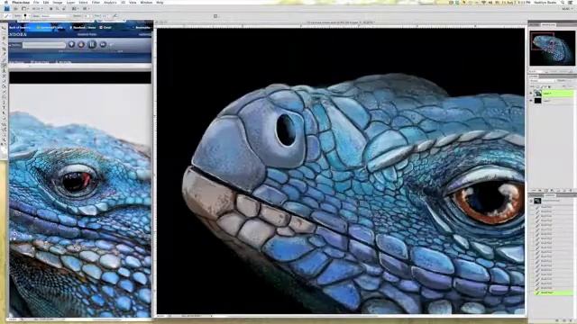 Cyclura lewisi time lapse vid смотреть онлайн