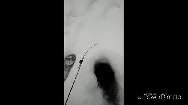 Рыбаловы смотреть онлайн