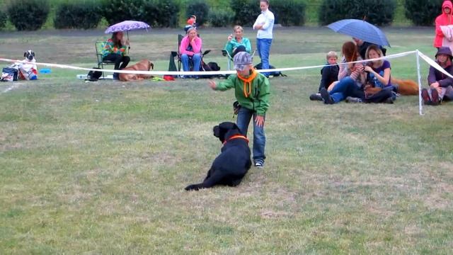 Tomáš a Bella - Trick Dogging - Brněnské psí dny 14.7.2012 Brněnský voříšek смотреть онлайн