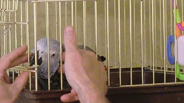 из Архива: приручаем к рукам на Ее Территории(часть3) смотреть онлайн