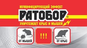 Ратобор — крыс и мышей уничтожает! 10 секунд