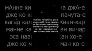 Джап Джи 12 стих (11 кругов)