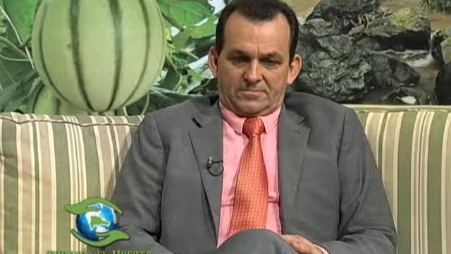 Cuidando el Huerto. Apio смотреть онлайн