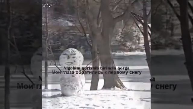 6 января 2022 г.