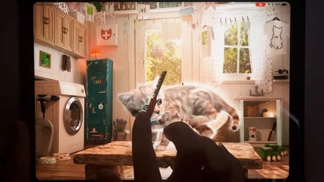 PLAY LITTLE KITTEN MY FAVORITE CAT PET CARE GAME - FUN BABY KITTEN ANIMATION MINI GAMES FOR KIDS смотреть онлайн