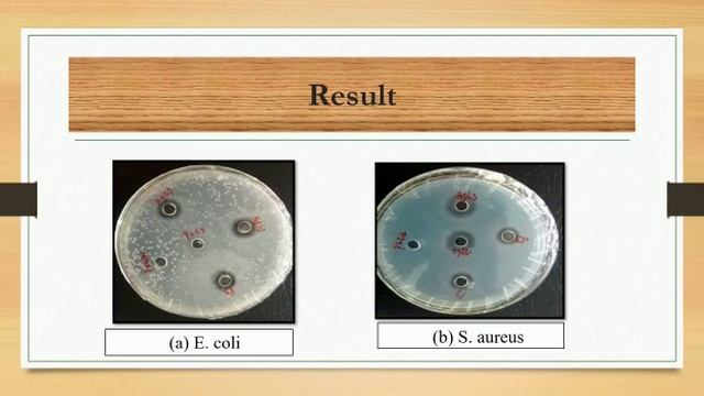 Zaib Un Nisa, Mphil Scholar, Seminar Ppt