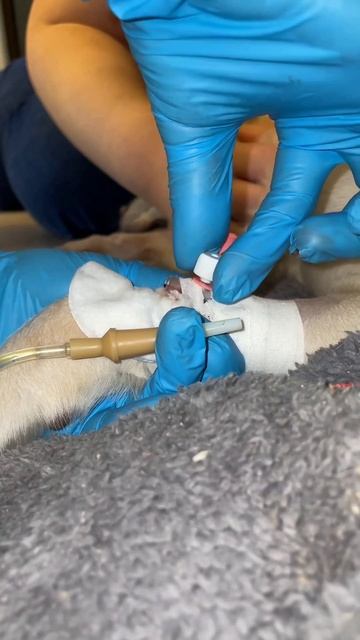 Секреты сердца