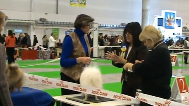 хрусталь видео 2011 016 смотреть онлайн