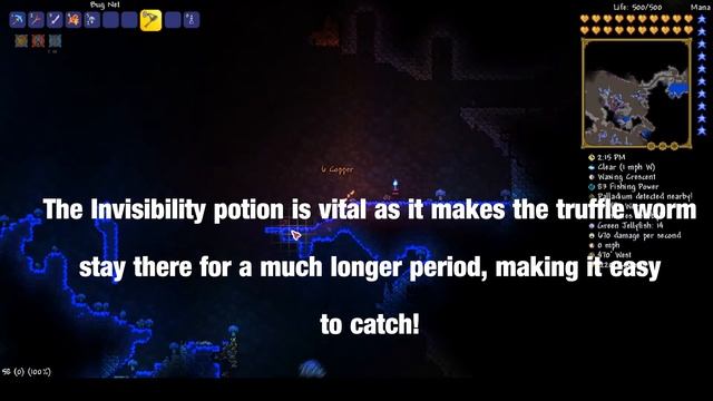 How to easily catch a Truffle Worm in Terraria! смотреть онлайн