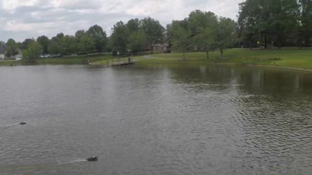 Rage Black Marlin Mx race смотреть онлайн