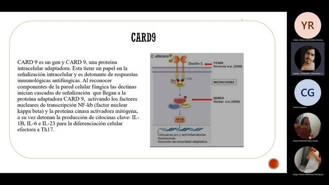 Respuesta inmune frente a cándida albicans. смотреть онлайн