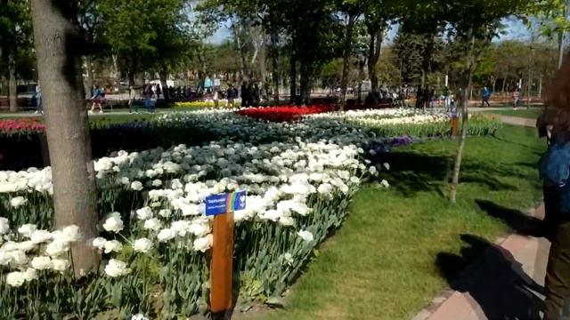 Парк “Веселка“ 2019г открытие смотреть онлайн
