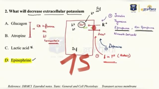NEET-PG 2022 Recall || 150 Questions || Faculties confirmed || #neetpg2022 #neetpgrecall #neetpg смотреть онлайн