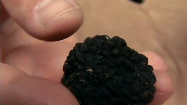 How to Buy Truffles - CHOW Tip смотреть онлайн