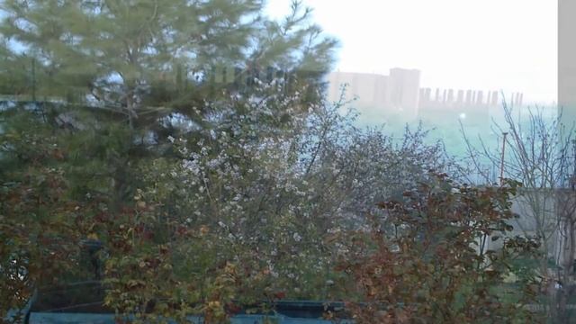 home of Mustafa shahin bey منزل مصطفى شاهين زادة في مكتلة смотреть онлайн