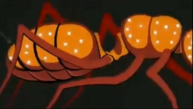 Real Life Zombie Fungus/ Ophiocordyceps Fungi /ilamkidiary