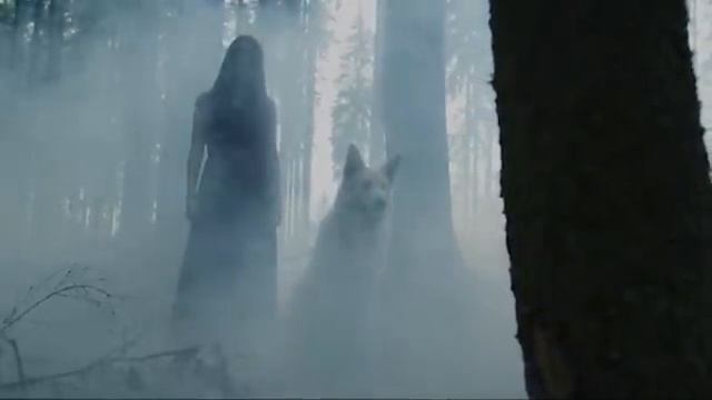 ДЕРЕВЕНСКАЯ ЖУТЬ