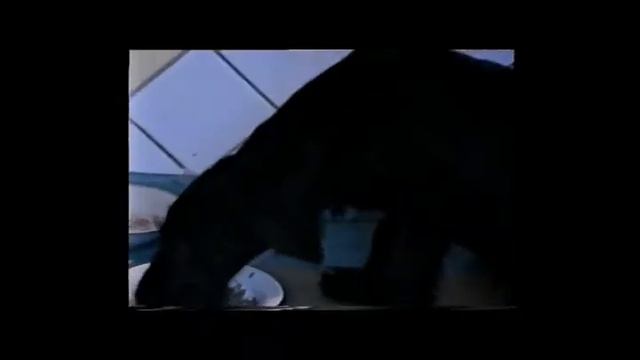 Old video producing №2 смотреть онлайн