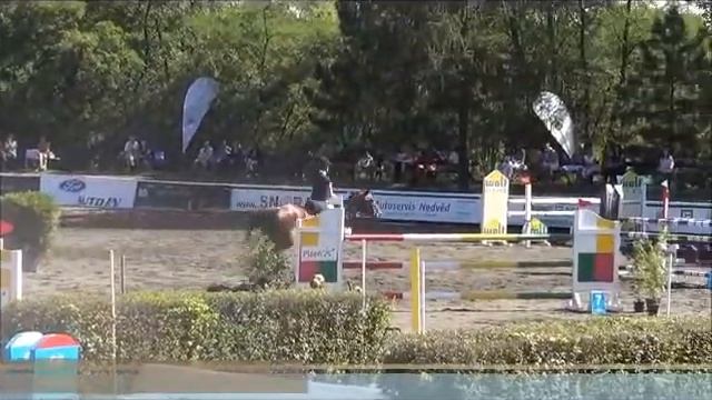 7 yo 130 amateur jumper Ephebe For Ever - Zeus *** FOR SALE *** смотреть онлайн