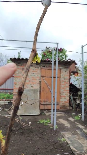 Никогда так не делайте! смотреть онлайн