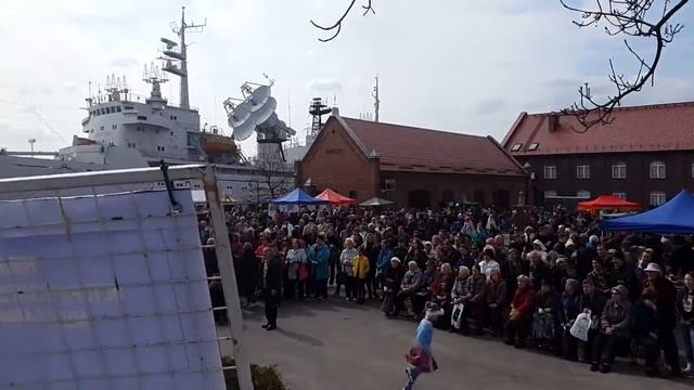 День селедки смотреть онлайн