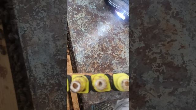 результат стартера , прививаем в павильоне в жару смотреть онлайн