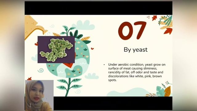 Microbial Spoilage of Meat смотреть онлайн